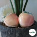 Peach Bath Bomb